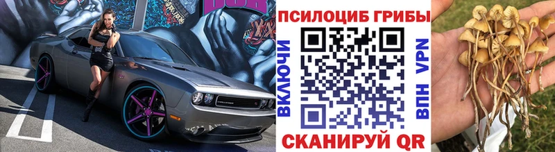где купить   Городище  сайты даркнета Telegram  Псилоцибиновые грибы прущие грибы 